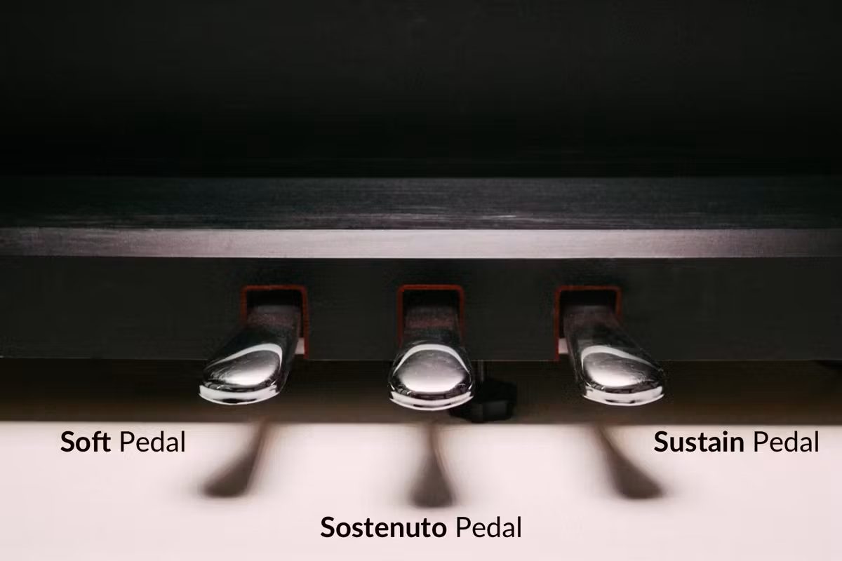 Electric Piano Pedal Does Not Sustain Sound